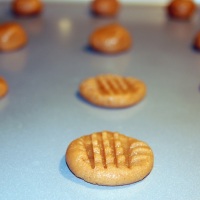 12 Days of Cookies! Day 1: Flourless Peanut Butter Cookies